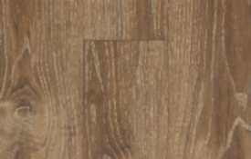 622 Balearic Oak